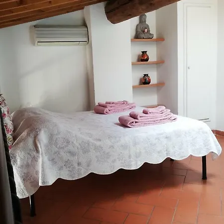 דירה San Frediano Holidays C פירנצה